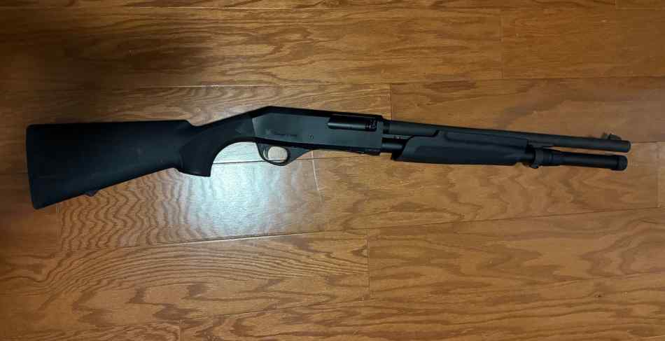 Stoeger p3000 freedom 12g pump
