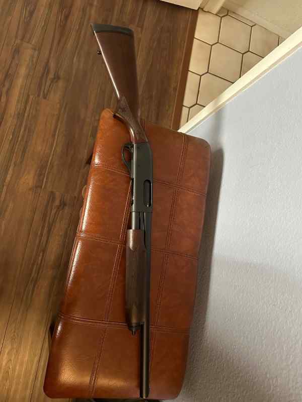IMG_4026.jpeg