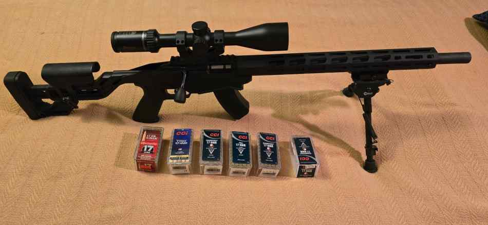 RPR .17HMR set up 