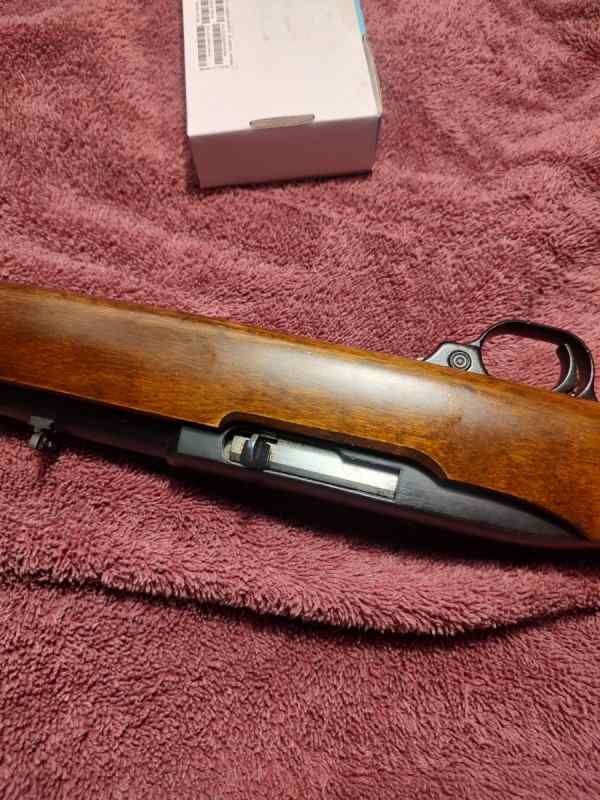 Ruger 10/22
