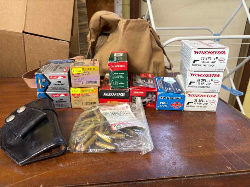 .38 Special various grains plus leather holster