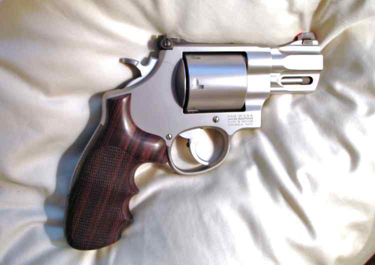 Smith &amp; Wesson 41 Magnum Performance Center