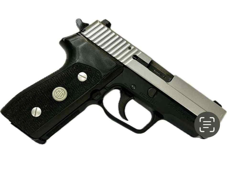 P225b.jpg