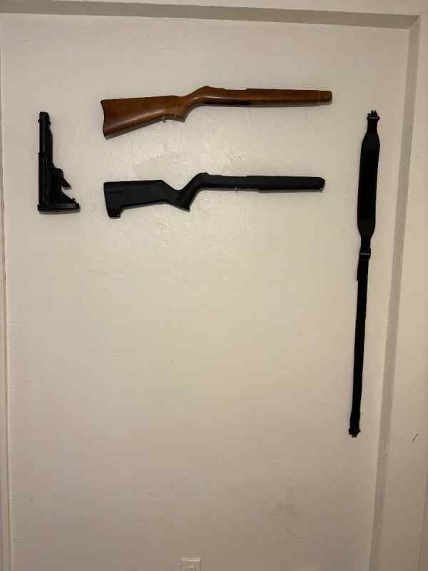 10/22 + 500 rounds + 2 stocks + 2 mags 