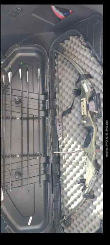 Compound bow