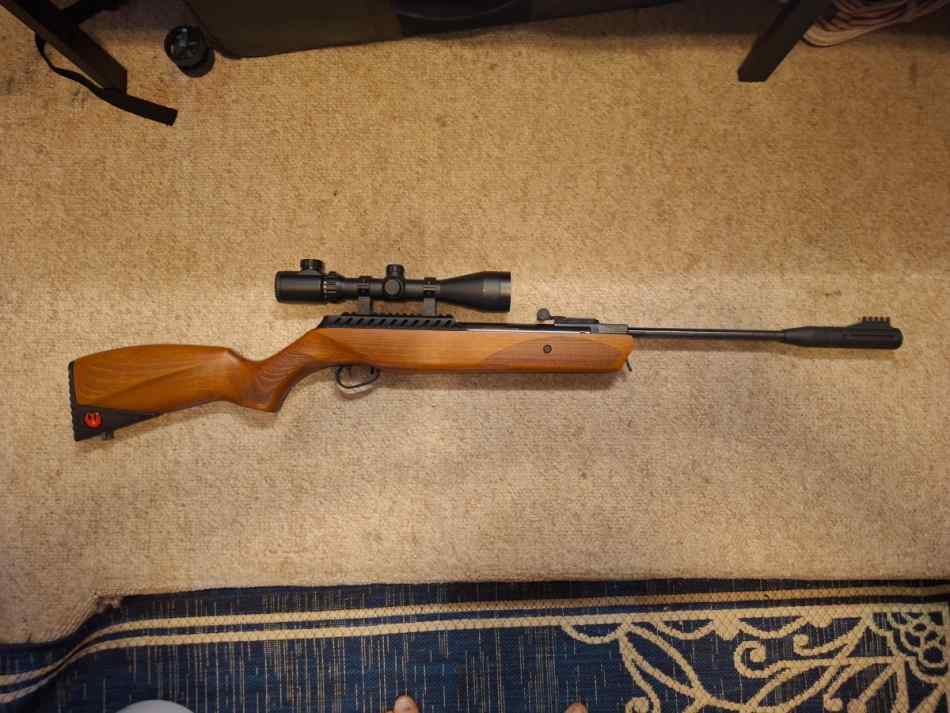 Ruger impact max elite air rifle