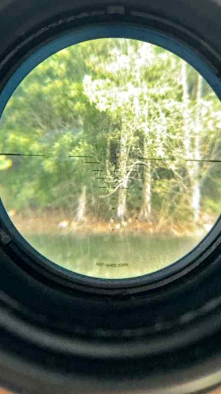 IMG_1030.jpeg