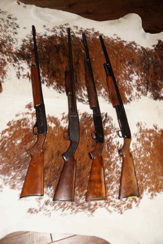 Multiple Shotguns 