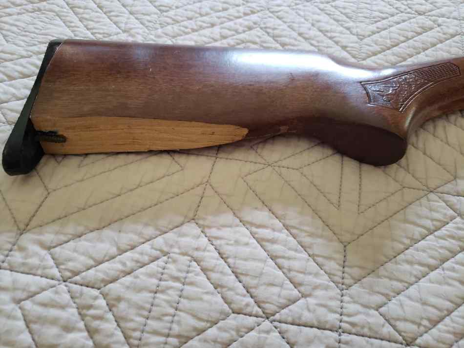 WOOD GLENFIELD.jpg