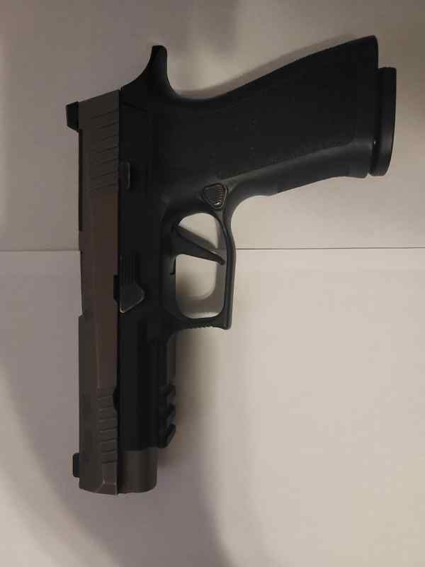 Sig Sauer VTac 2.jpg