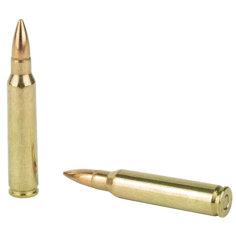 PMC_Ammo-223_Remington_Ammo-3105_1_.jpg