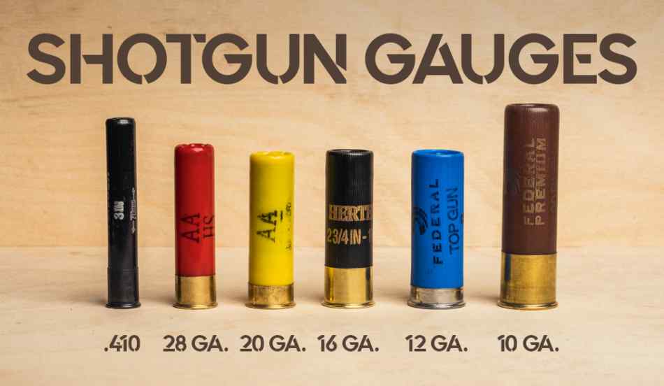Shotgun Gauges.jpg
