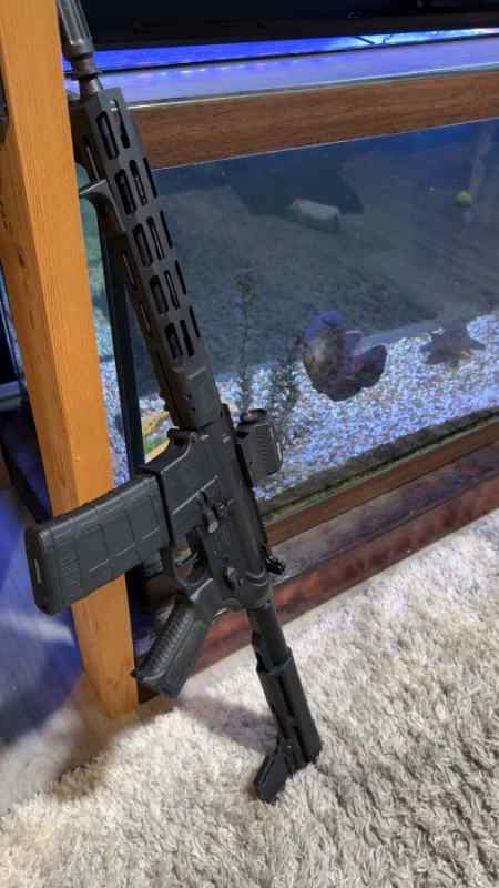 IMG_4158.jpeg