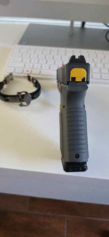 SCT19 in Sniper grey and gold