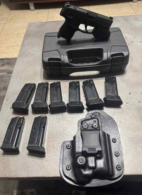 P365-380 w/ 8 Mags, Green Laser/Light &amp; Holster 