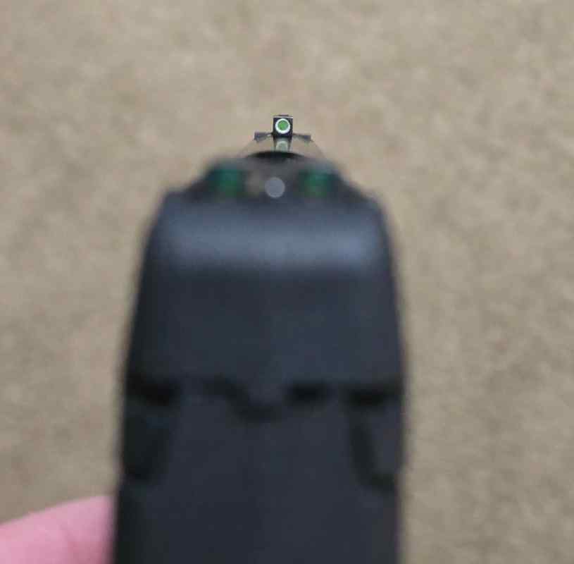 1000038203.jpg