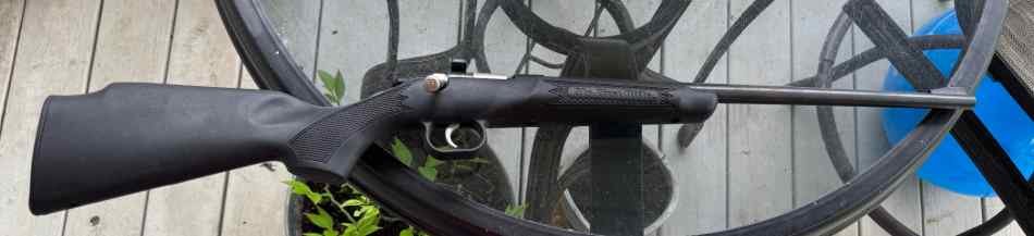 Cricket 22lr