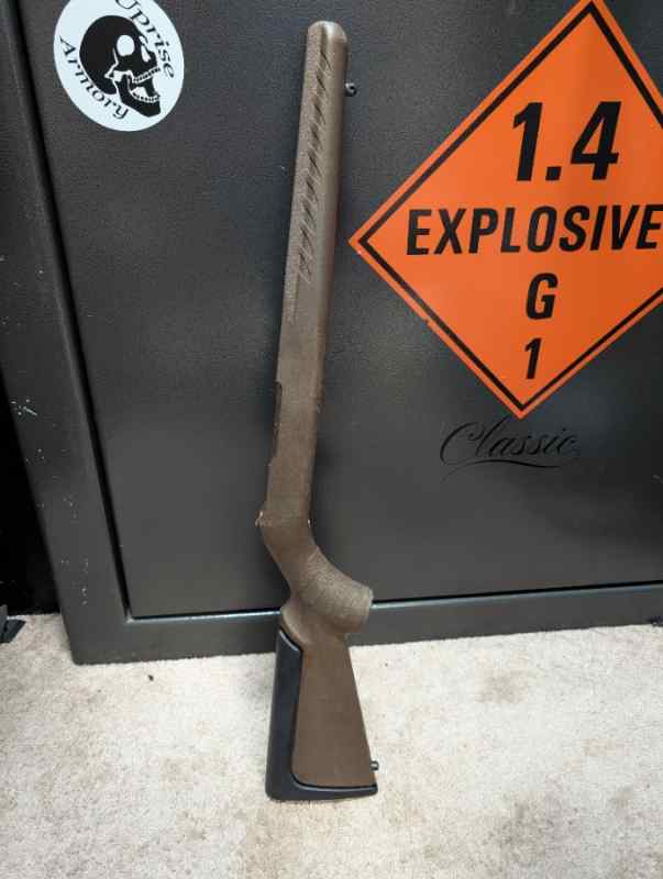 Ruger 10/22 2nd Amendment edition stock