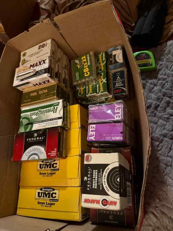 .22LR and 9mm Assorted rounds