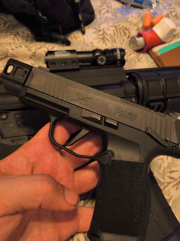 SIG 365 x