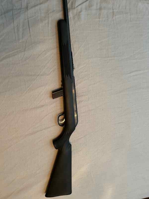 .22lr savage