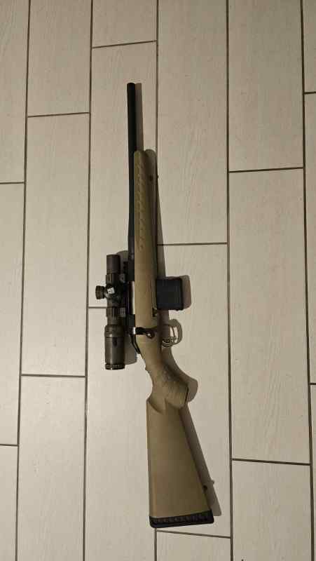 Ruger american ranch 300blk 16 inch AR mags