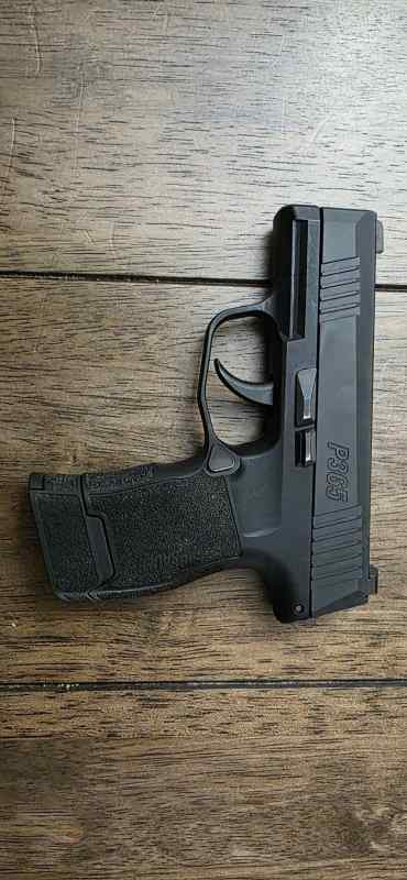 Sig Sauer P365 w/o safety