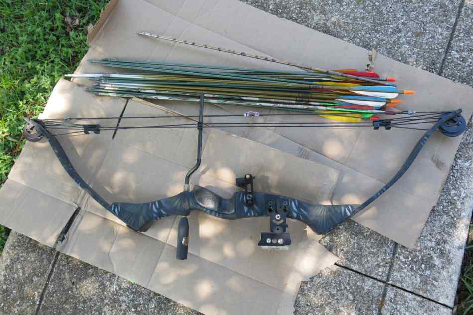 Browning Compound Bow