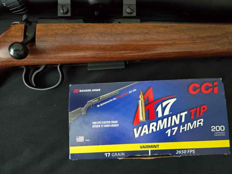 cz455 e.jpg
