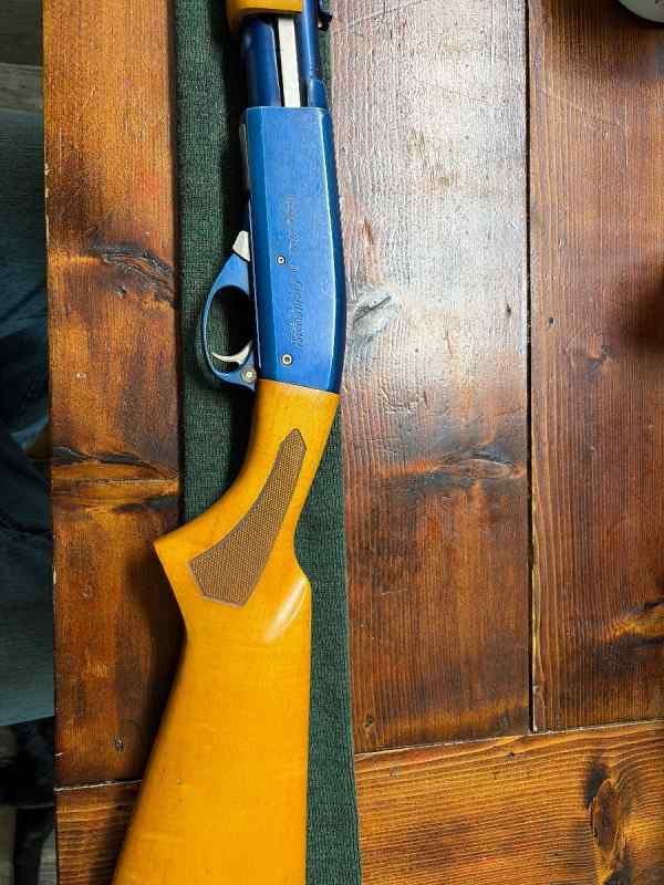 Remington 572 speedmaster blue wing teal