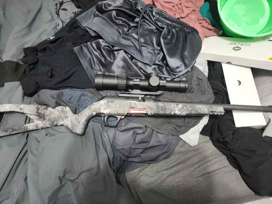 Winchester wildcat. 22lr