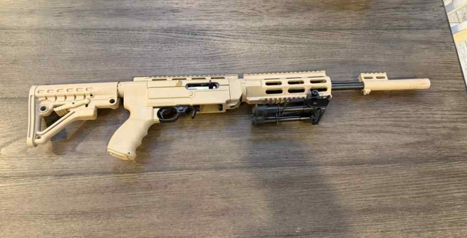 Ruger 10/22 Carbine in Archangel stock