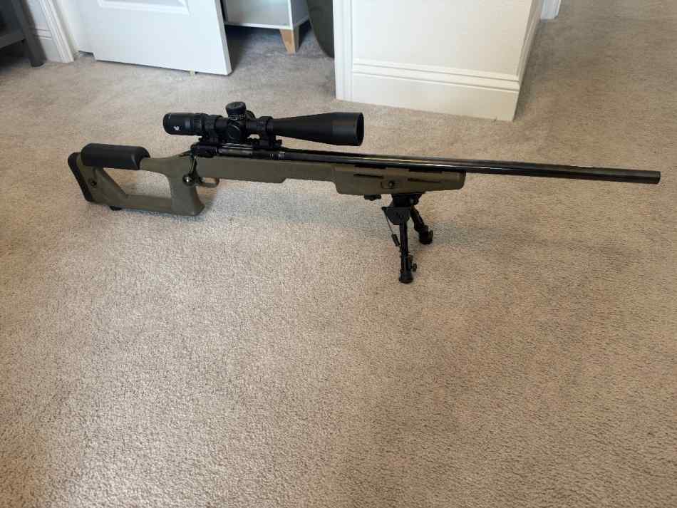 Savage 12 22-250 w/ Vortex HD scope