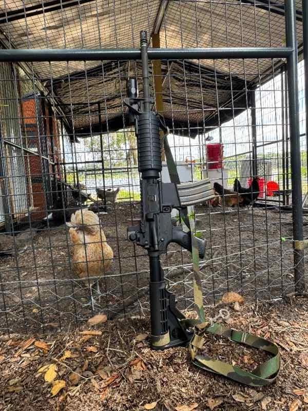 Bushmaster m4