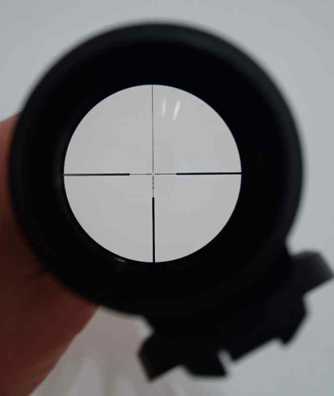 Picture 3.jpg