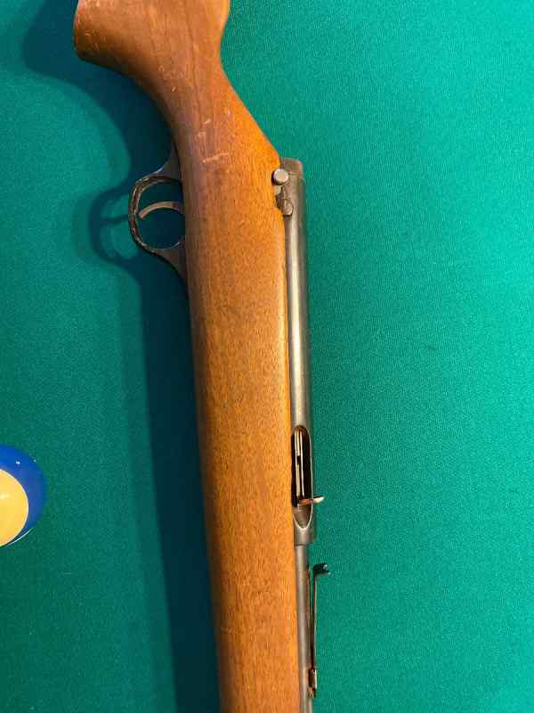 Marlin 22