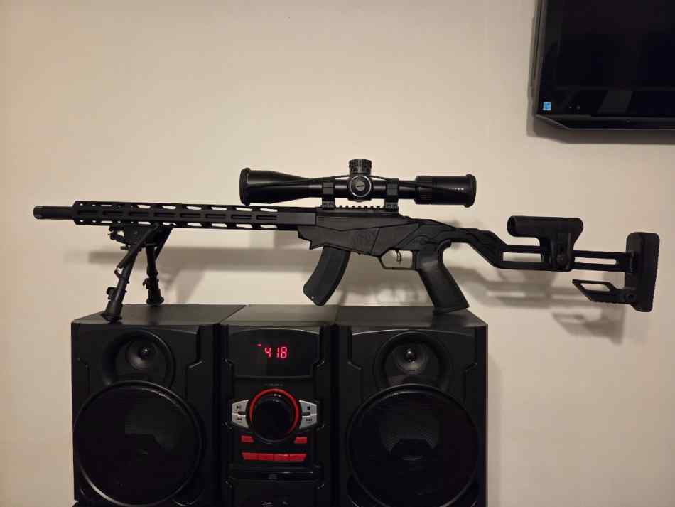 Ruger Precision rimfire 22 mag vortex ammo 