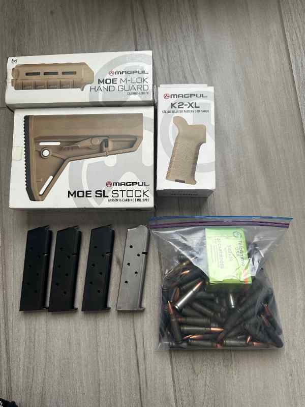 AR15 Magpul accessories, 1911 mags, ammo