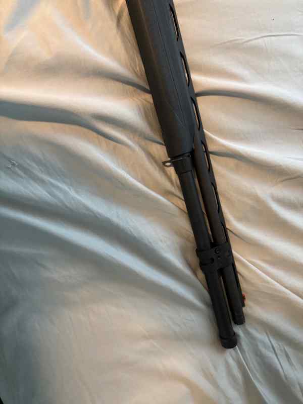 IMG_1002.jpeg