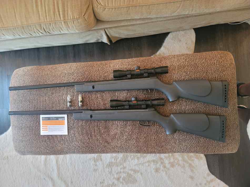 Gamo Big Cat 1200 with Gamo scope (2 airguns)