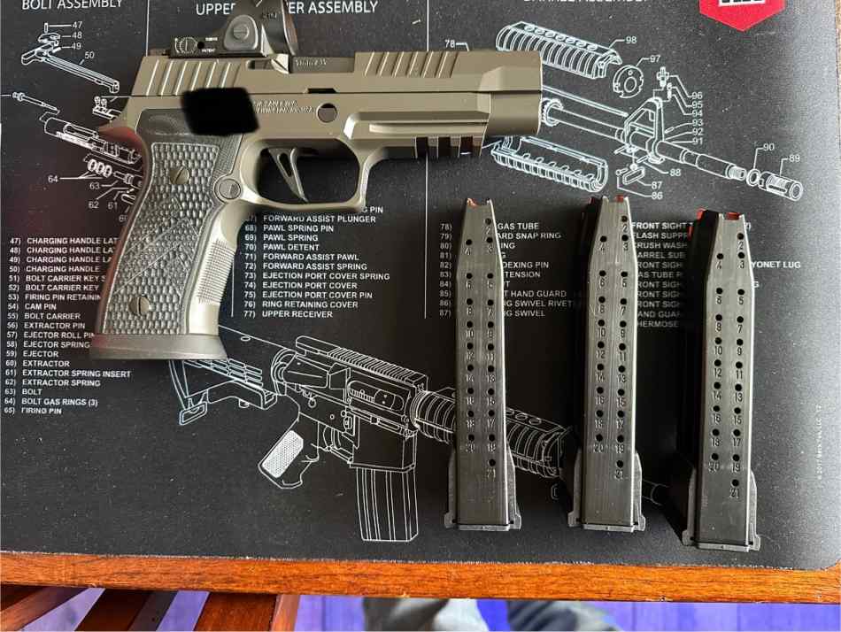 Sig Sauer Legion AXG