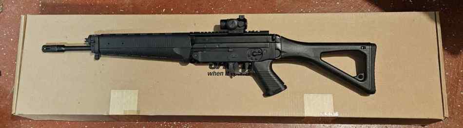 Sig Sauer 556R.jpg